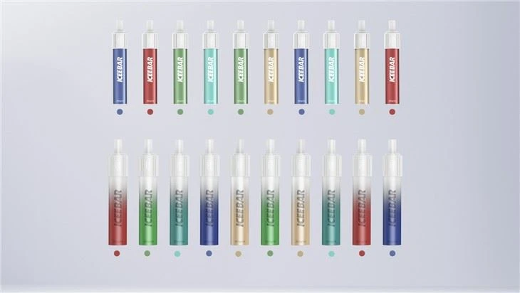 2022 New Model 800 Puffs Vapes